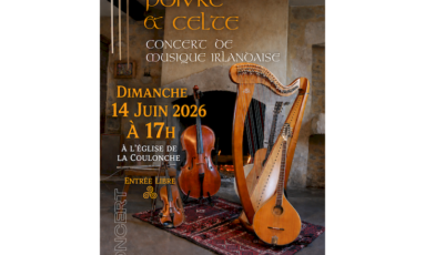Concert de musique irlandaise 