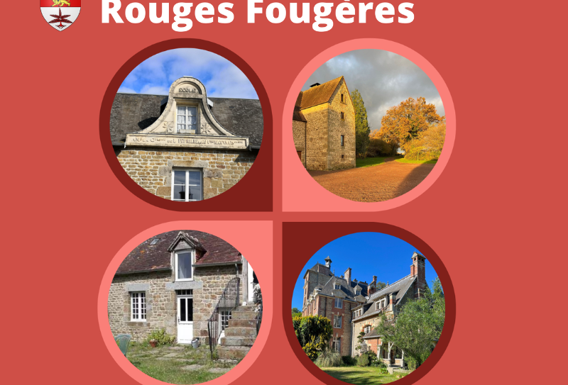 Rouges fougères