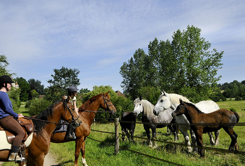 Randonnée à cheval dans l&rsquo;Orne