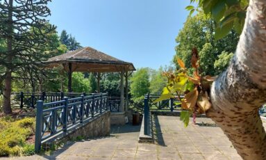 Festi été - chants et danses
