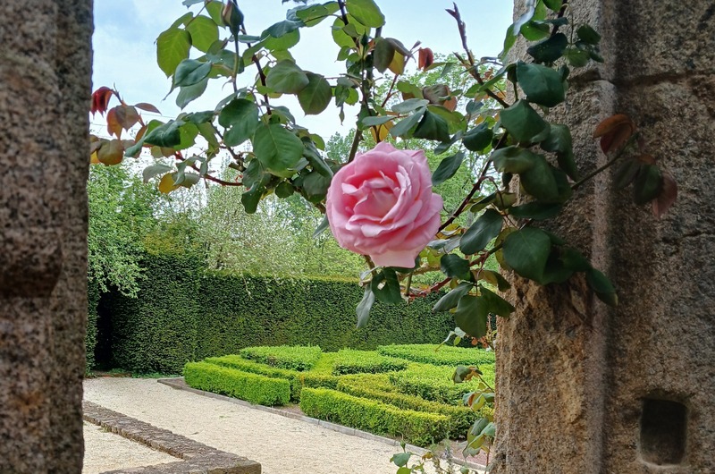 Manoir de la Boisnerie-133358(1)(1)