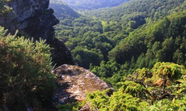 Balade nature - Contes & nature