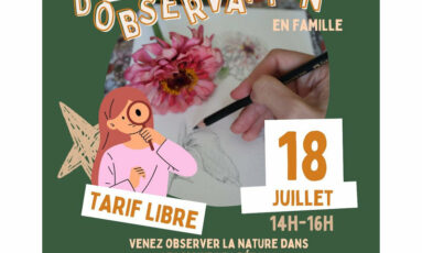 Initation au dessin d'observation en famille