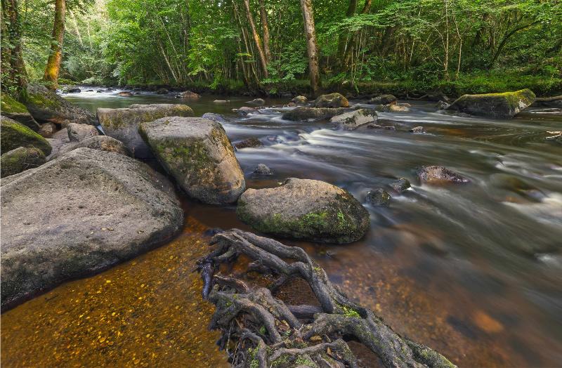 Photo_La_Roche_d&rsquo;Oëtre_©Pascal_Léger 800