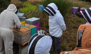 Ateliers d'initiation à l'apiculture